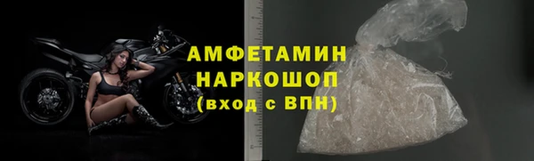 индика Алзамай